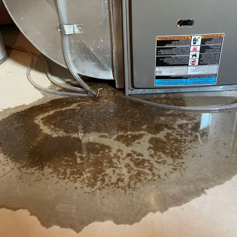 Pipe Burst and Leak Restoration in Somerset, KY