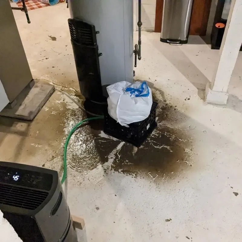 Sewage Backup Cleanup Service in Somerset, KY
